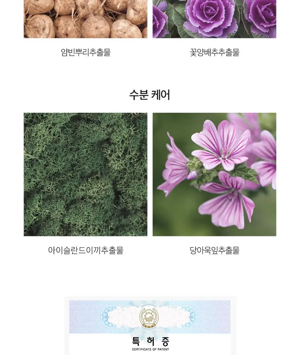 [여행필수템]아리얼 스트레스 릴리빙 데일리 픽 토닝 패드 기획 (30매 x 3개입) 상세페이지 14